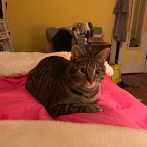 Meet your Posher, Audrey